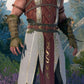 Haslin costume from Baldur's Gate 3