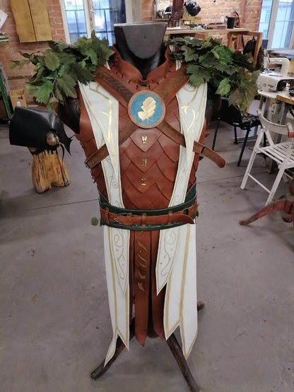 Haslin costume from Baldur's Gate 3