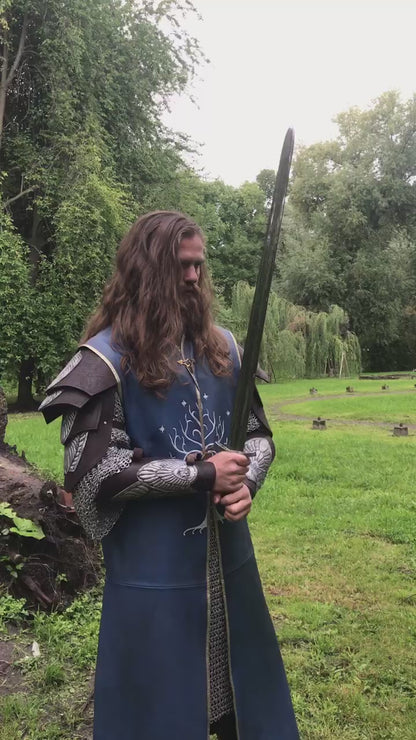 Aragorn King costume (Lord of Rings)