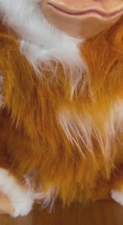 Adorable Mogwai Gizmo Art Toy