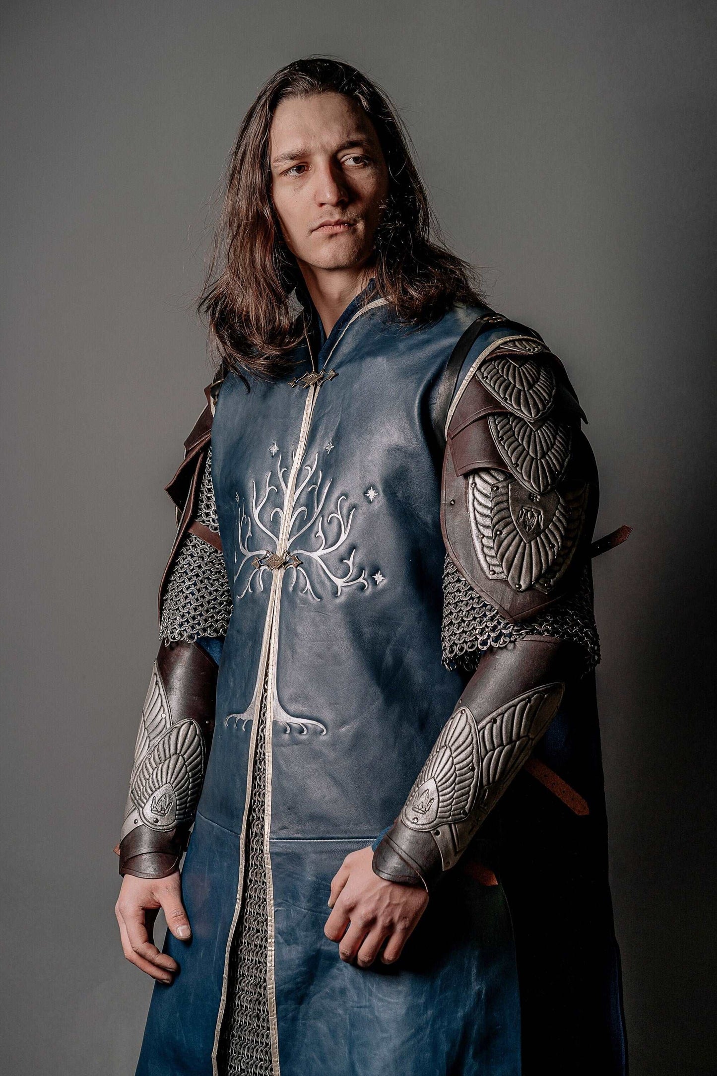 Aragorn king royal blue vest (Lord of the Rings)