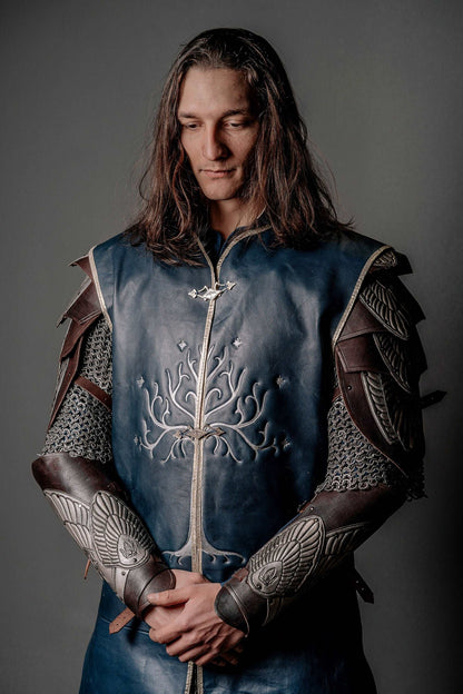 Aragorn King costume (Lord of Rings)